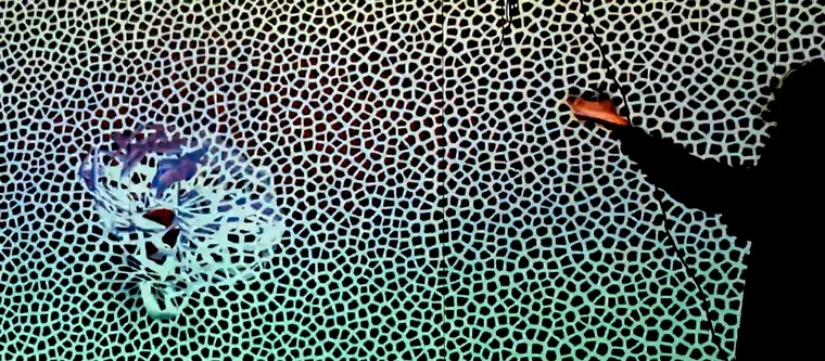Interference — a generative particle field